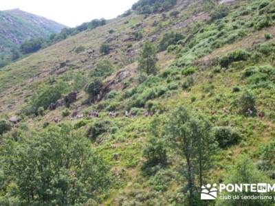 Parque Nacional Monfragüe - Reserva Natural Garganta de los Infiernos-Jerte;senderismo